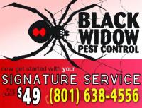 Black Widow Pest Control image 4